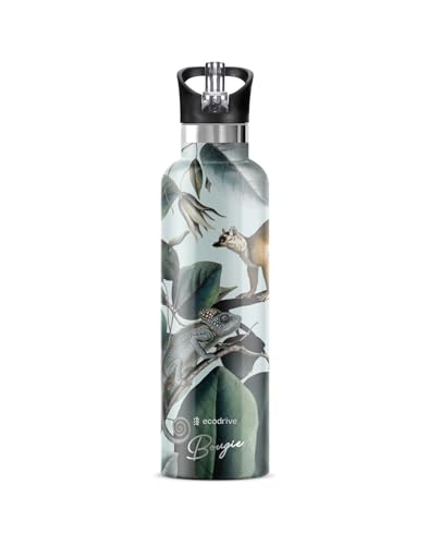 Ecodrive Insulated Water Bottle