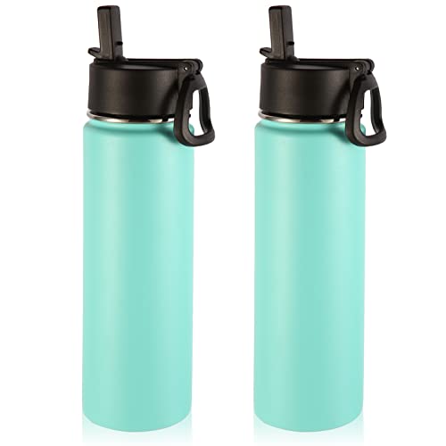 Insulated Water Bottles with Straw Bulk 2 Pack (2 Count)