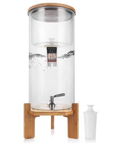 Glass Water Filter Pitcher