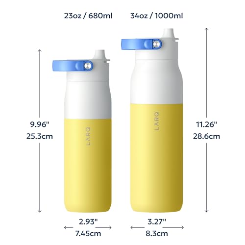 Swig Top Insulated Stainless Steel Water Bottle with Straw and Handle