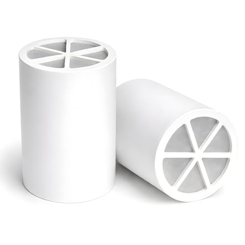 Shower Filter Replacement Cartridge (2 Count)