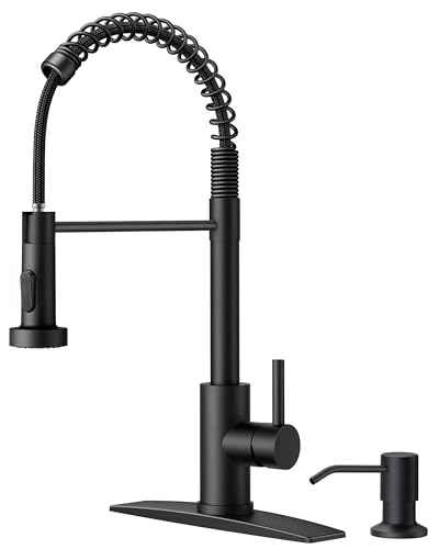 Black Kitchen Faucet with Soap Dispenser