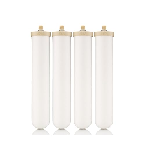 W9123050 ¦ 10" Biotect Ultra ¦ Authentic Drinking Water Ceramic Replacement Candle Element Filter ¦ 2504 ¦ White ¦ NSF Certified ¦ M12 Thread ¦