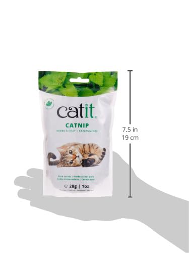 Dried Catnip for Stimulating Indoor and Outdoor Cats