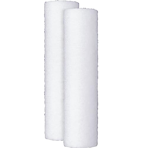 FXUSC Whole House Water Filter (2 Count)
