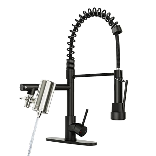 Black Kitchen Faucet with Water Filter
