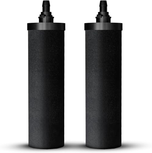 Carbon Replacement Filter Elements for Filters Pack of 2 (2 Count)