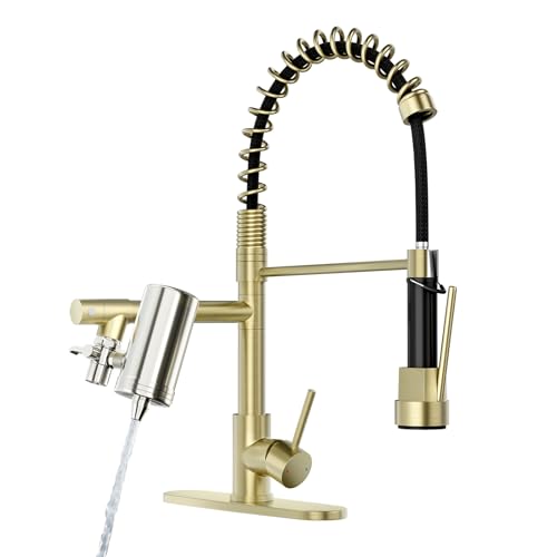 Gold Kitchen Faucet with Water Filter
