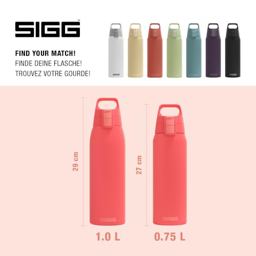 Insulated Water Bottle