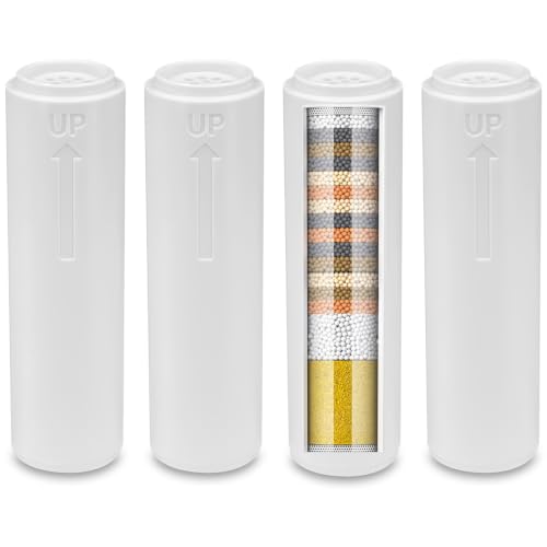 Water Filter Compatible with INAVAMZ (2 Count)