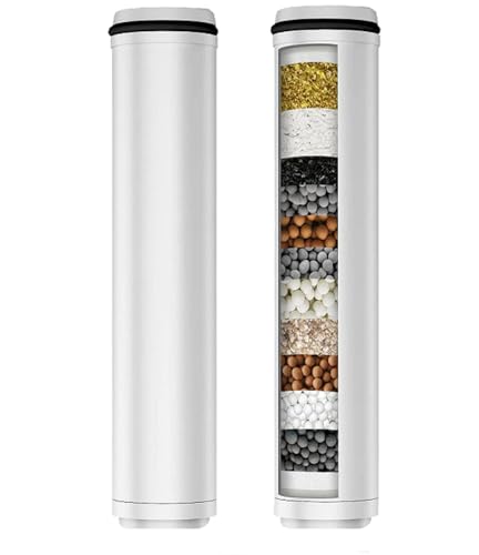 2 Pack Shower Filter Replacement for Handheld Shower Head (2 Count)