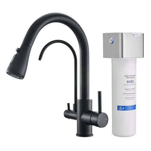 3 in 1 Kitchen Faucet with Water Filter and Pull Down Sprayer