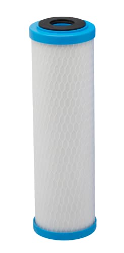 Pentair Pentek ChlorPlus Protect 10 Carbon Block Water Filter