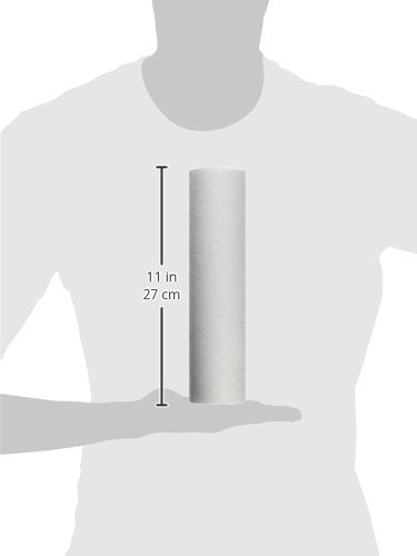 FP110X50 10 Micron (50 Count)