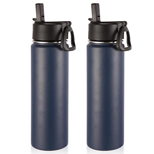 Insulated Water Bottles with Straw Bulk 2 Pack
