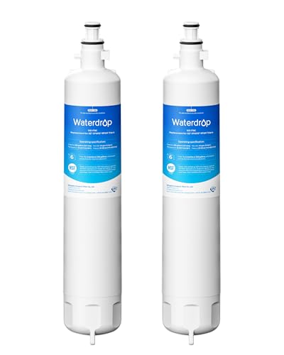 WD F19C Water Filter Replacement for GE® RPWFE® (2 Count)