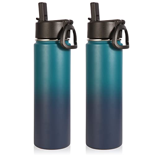 Insulated Water Bottles with Straw Bulk 2 Pack (2 Count)