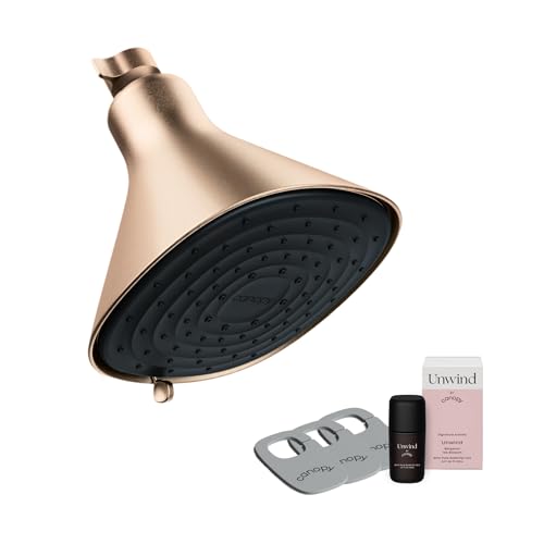Filtered Shower Head