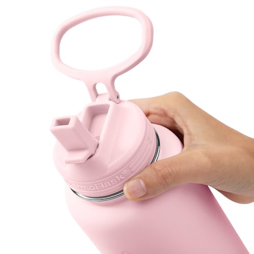 Insulated Water Bottle with Straw Lid