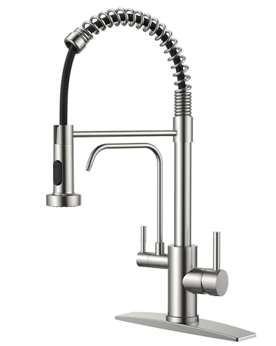 Kitchen Faucet with Purfied Water Filter