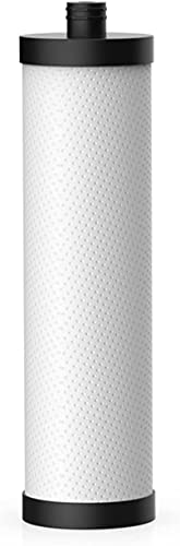 PLC10 Replacement Filter For FK99