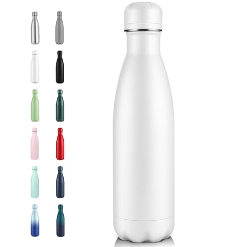 17oz Insulated Stainless Steel Water Bottle