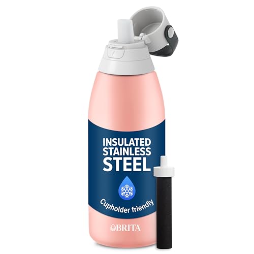 Stainless Steel Premium Filtering Water Bottle