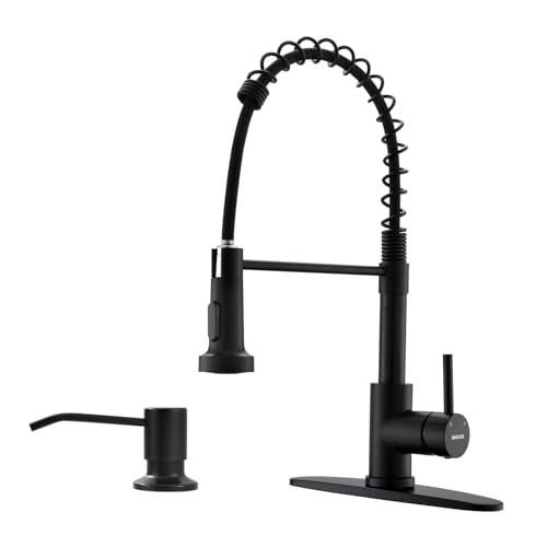 Kitchen Faucet with Soap Dispenser