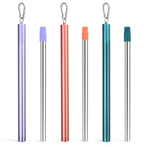 Stainless Steel Water Filter Straws (3 Count)