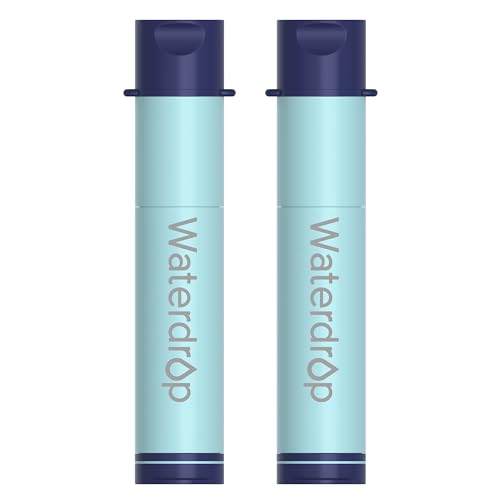 Portable Water Filter Straw (2 Count)