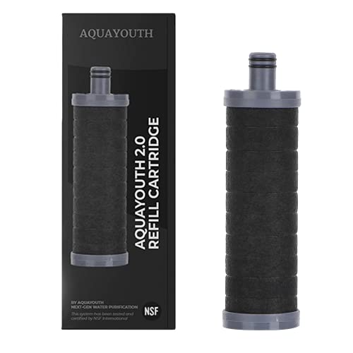 2.0 Carbon Shower Head Filter