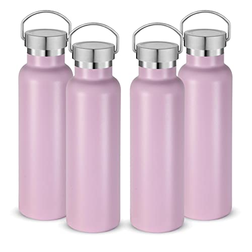 20 oz Insulated Water Bottles Bulk 4 Pack (4 Count)