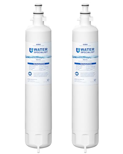 WS619C Water Filter Replacement for GE® RPWFE® (2 Count)