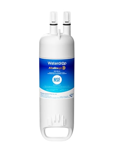 W10295370A Refrigerator Water Filter