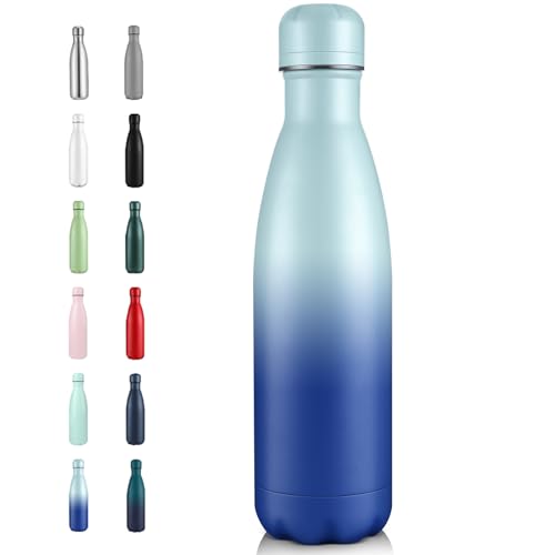 17oz Insulated Stainless Steel Water Bottle