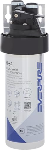 Pentair Everpure H