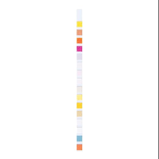 Restaurantware Instant Multiple-Use Water Test Kit 100 Count 17-in-1 Water Test Kit, 2 Bacteria Tests, For Tap & Well Water, Chlorine Testing Strips, Tests For Lead, Bacteria, Hardness, Fluoride