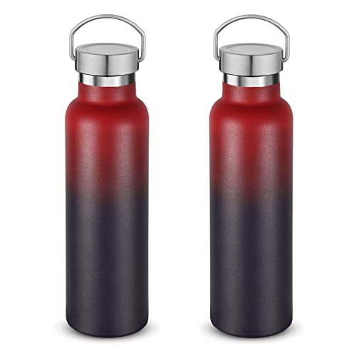20 oz Insulated Water Bottles Bulk 2 Pack (2 Count)