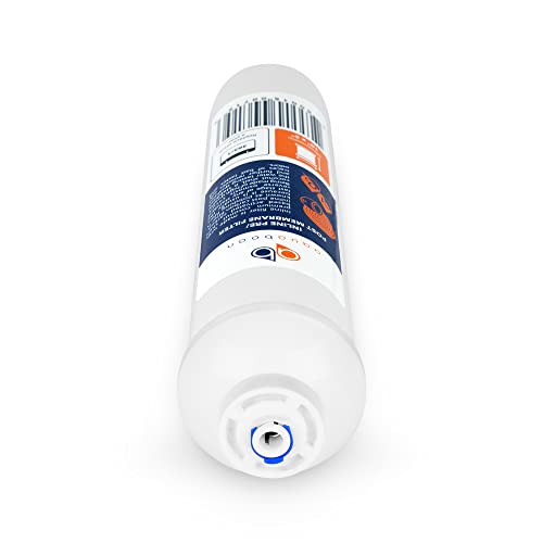 T33 Inline Post Activated Carbon Water Filter for Refrigerator (2 Count)