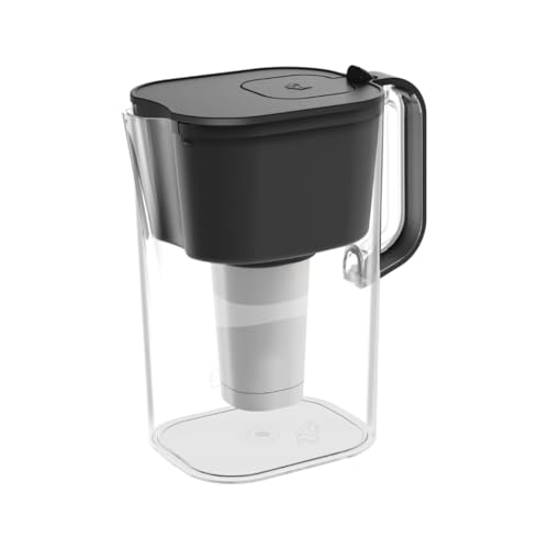 HOMEWATER 10 Cup Pitcher Filter