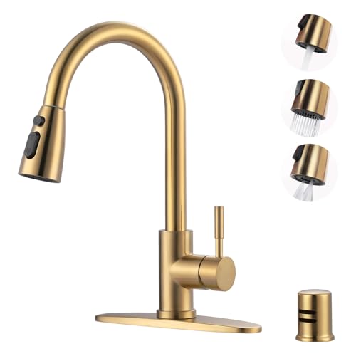 Kitchen Faucet with Air Gap