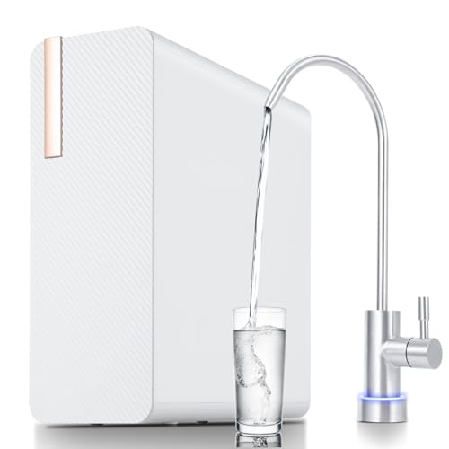 Reverse Osmosis System
