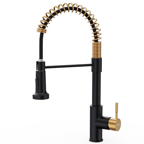 Black and Gold Kitchen Faucet with Pull Down Sprayer