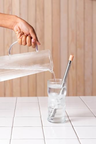 Sip Reusable Stainless Steel Water Filter Drinking Straw with 3 Carry Cases (3 Count)