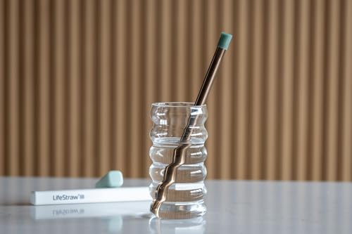 Sip Reusable Stainless Steel Water Filter Drinking Straw with 3 Carry Cases (3 Count)