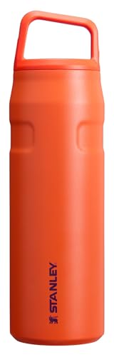 IceFlow Cap and Carry Water Bottle 24 oz