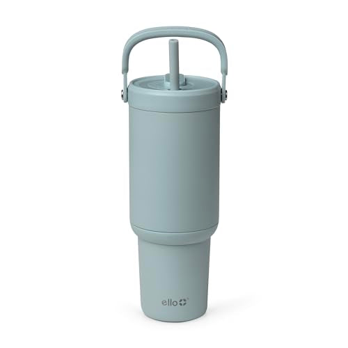 Oasis Go+ 32oz Insulated Stainless Steel Tumbler with Straw