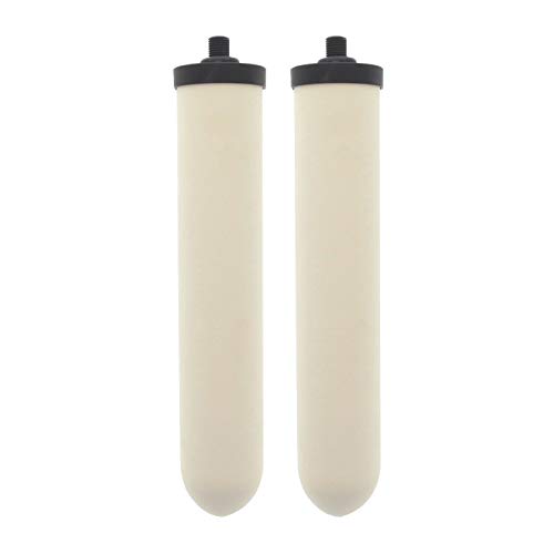 W9123053 UltraCarb 10 Inch Ceramic Candle Filter Cartridge (2 Count)
