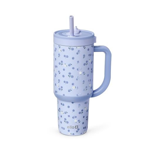 Oasis 30oz Insulated Stainless Steel Tumbler with Straw