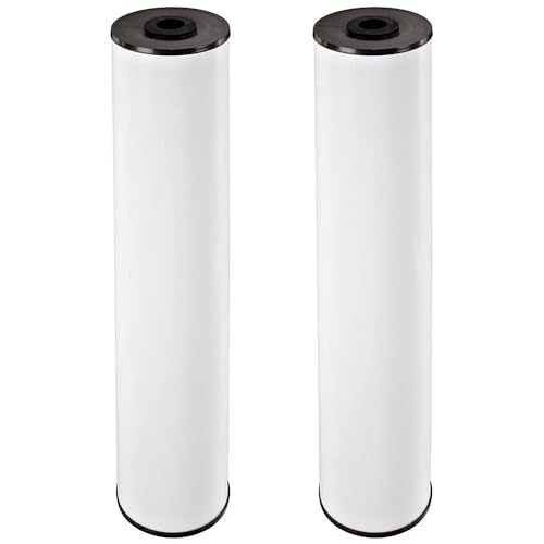 Pentair Pentek RFFE20 (2 Count)